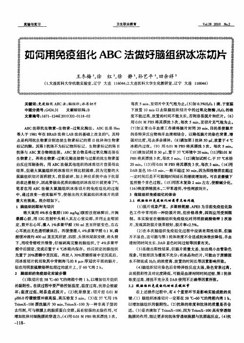 如何用免疫组化ABC法做好脑组织冰冻切片