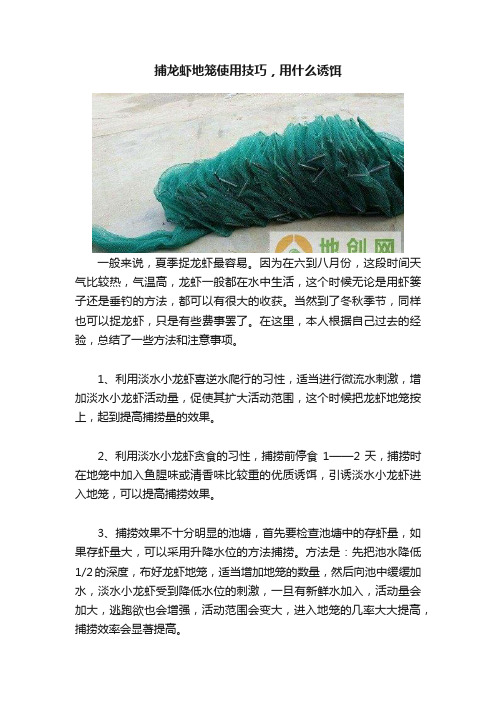 捕龙虾地笼使用技巧，用什么诱饵