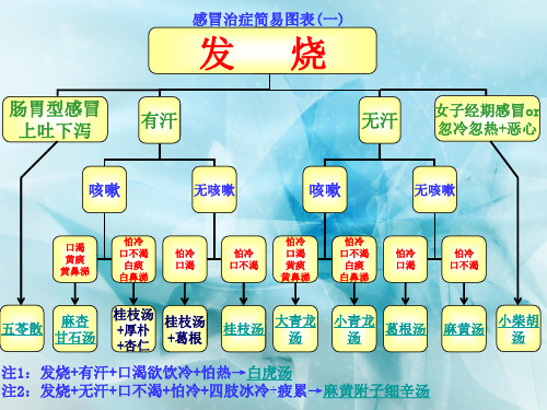 《感冒治症》简易图表.ppt