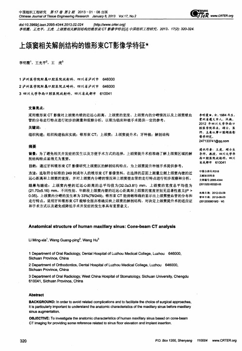 上颌窦相关解剖结构的锥形束CT影像学特征