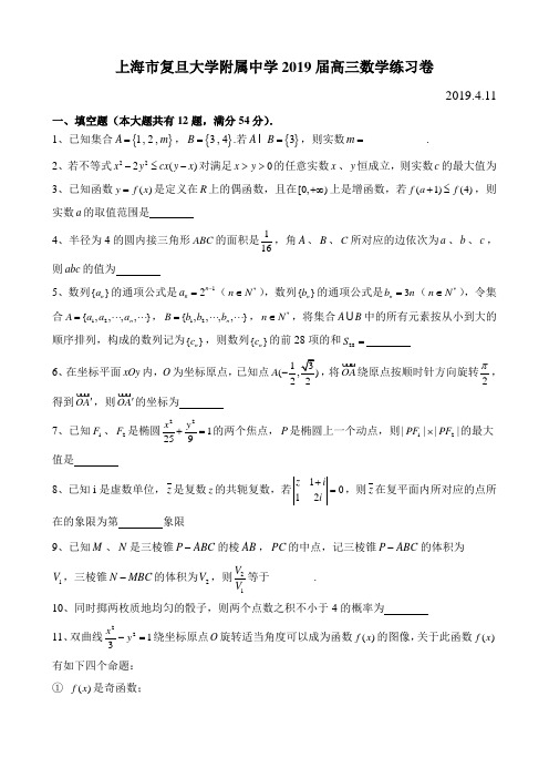 上海市复旦大学附属中学2019届高三数学练习卷(4月11日)(含简略答案)