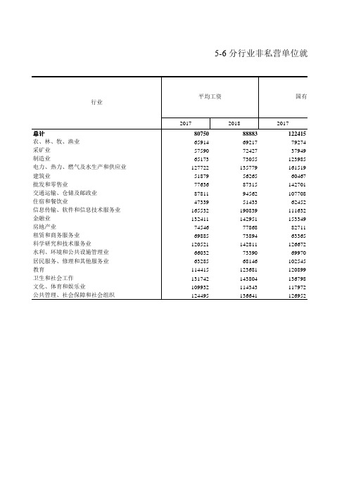 浙江统计年鉴宏观经济数据：5-6 分行业非私营单位就业人员平均工资(2017-2018年)