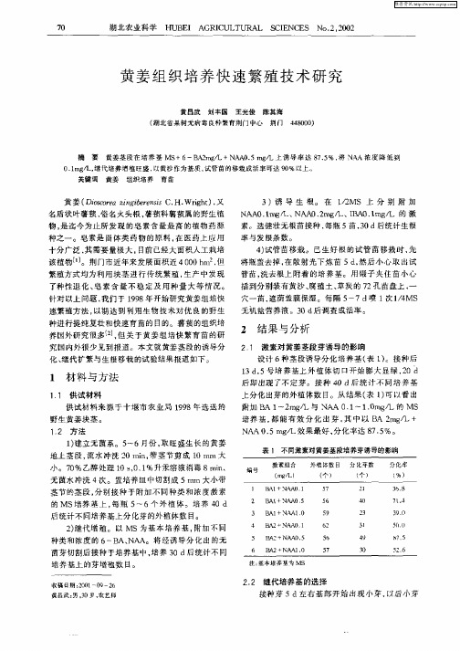 黄姜组织培养快速繁殖技术研究