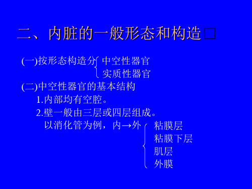 内脏学总论消化系统