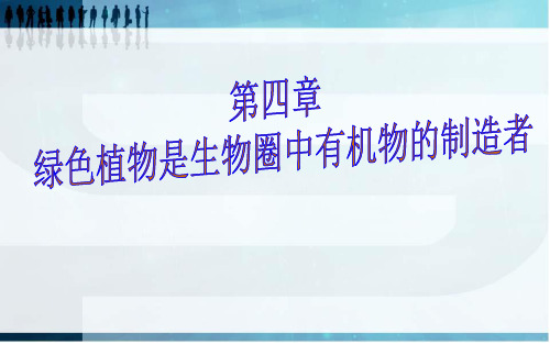 人教版生物七年级上册第三单元第四章绿色植物是生物圈中有机物的制造者