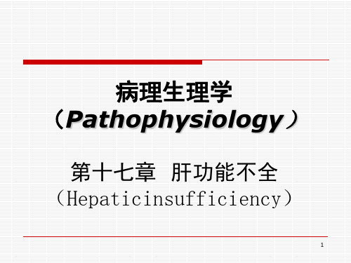 病理生理学肝功能不全