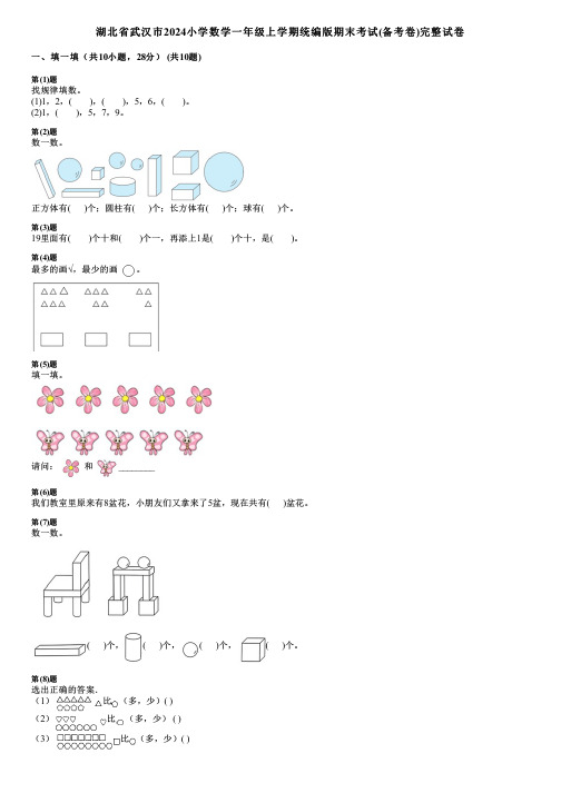 湖北省武汉市2024小学数学一年级上学期统编版期末考试(备考卷)完整试卷