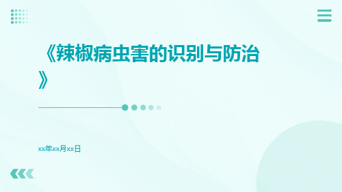 辣椒病虫害的识别与防治