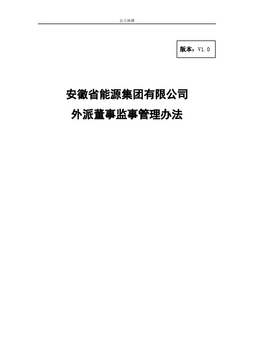 安徽省能源集团有限公司外派董事监事管理办法