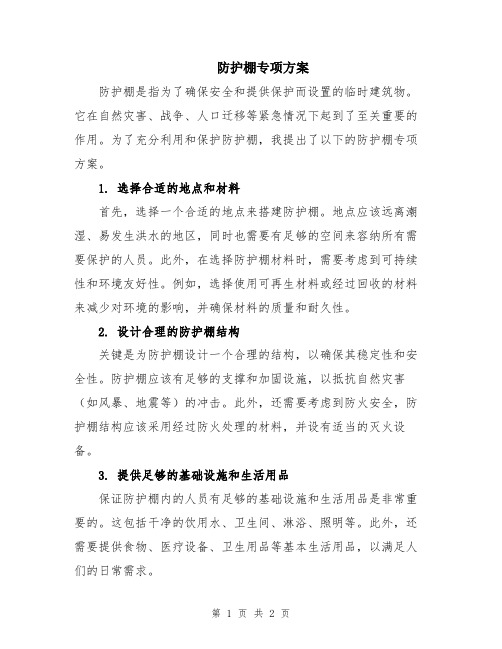 防护棚专项方案