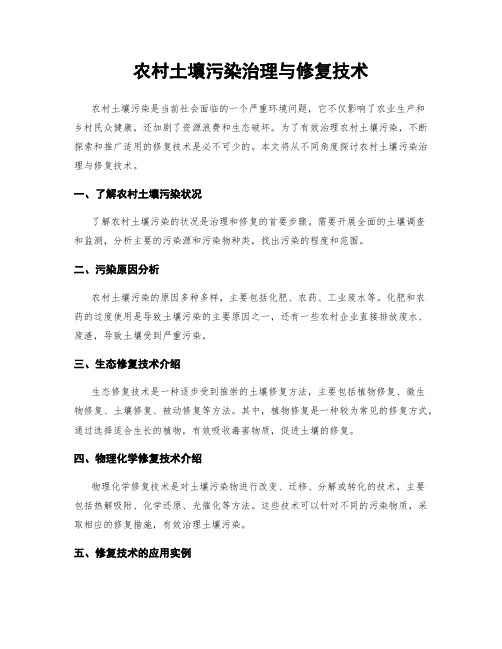 农村土壤污染治理与修复技术