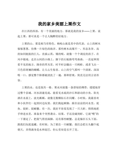 我的家乡美丽上栗作文