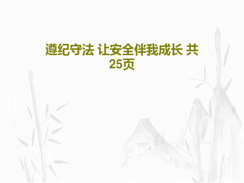 遵纪守法 让安全伴我成长 共25页27页PPT