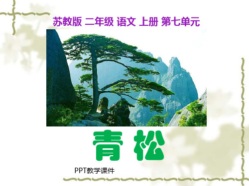 苏教版二年级上册语文《青松 》PPT课件