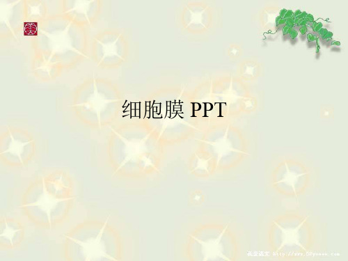 细胞膜 PPT