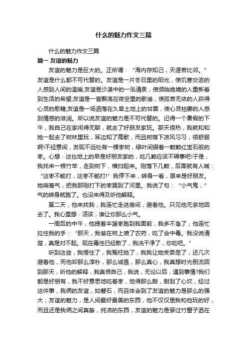 什么的魅力作文三篇