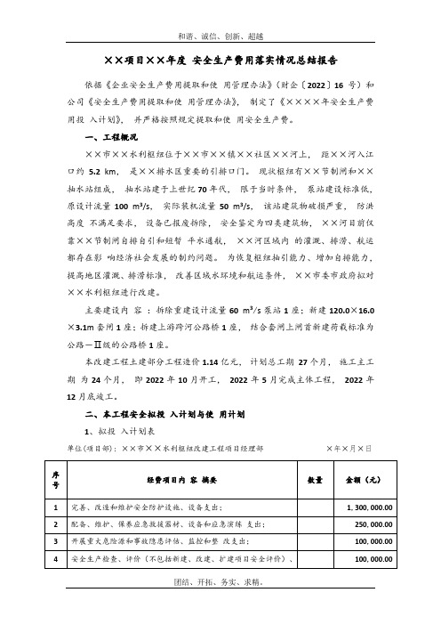 年度安全生产费用落实情况总结报告模板