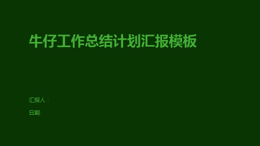 牛仔工作总结计划汇报模板