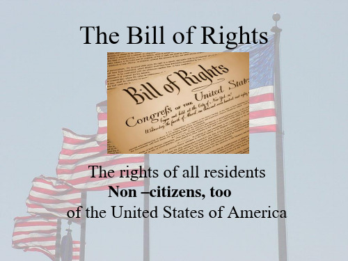 8 bill of rights