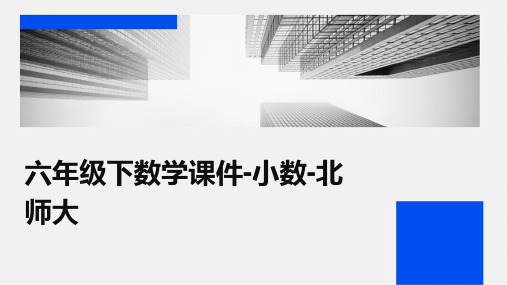 六年级下数学课件-小数-北师大