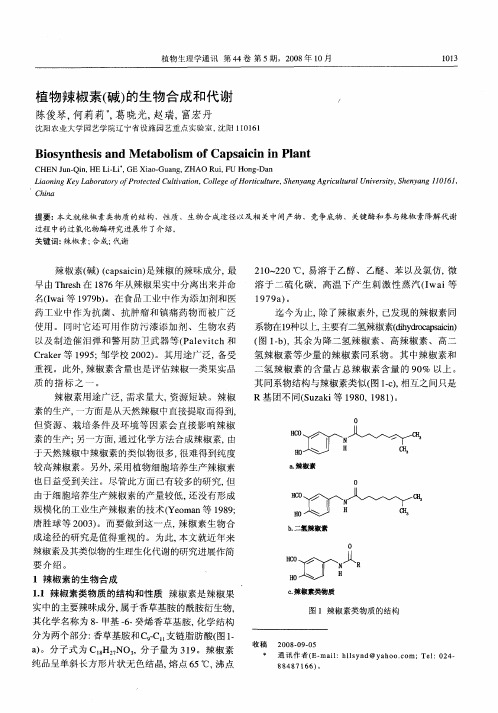 植物辣椒素(碱)的生物合成和代谢