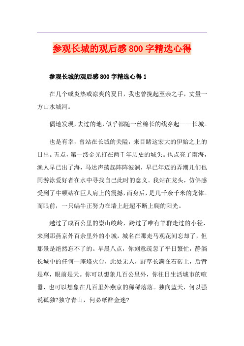 参观长城的观后感800字精选心得