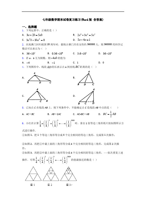 七年级数学期末试卷复习练习(Word版 含答案)