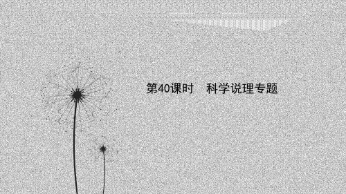 备战浙教版科学中考一轮复习第40课时科学说理专题课件