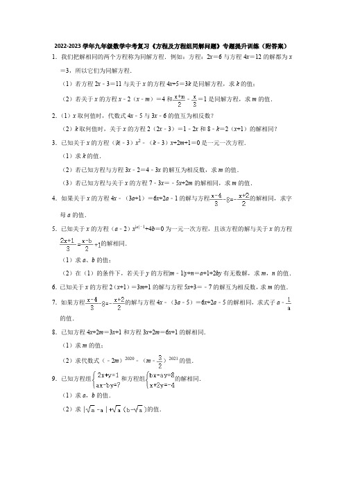 2023年九年级数学中考复习+方程及方程组同解问题+专题提升训练