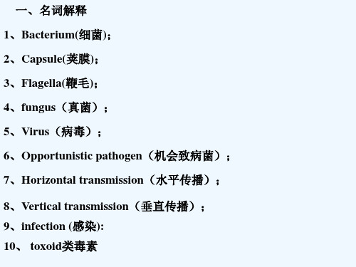 病原微生物知识要点