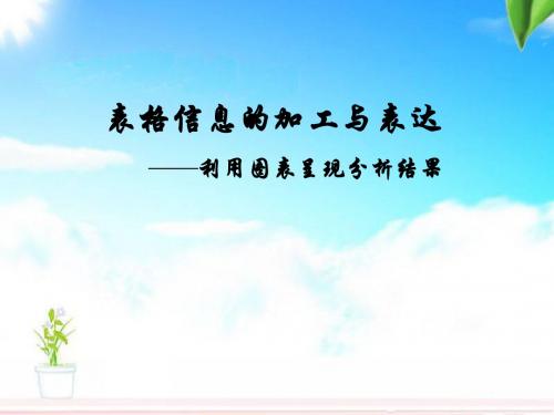 粤教版信息技术全一册必修  3.2 表格信息的加工与表达(共11张ppt)