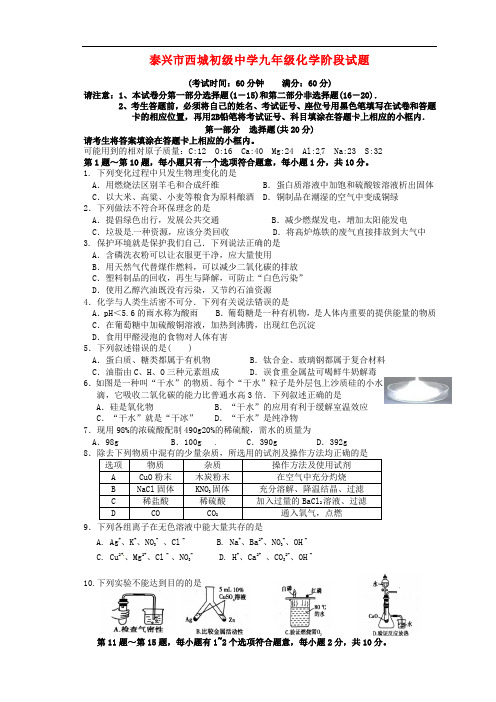 江苏省泰兴市西城中学九年级化学3月阶段考试试题 沪教