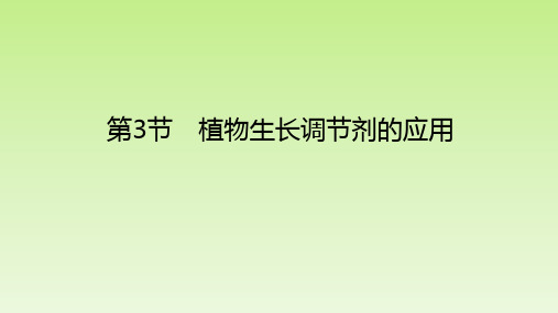 【课件】植物生长调节剂的应用课件高二上学期生物人教版选择性必修1