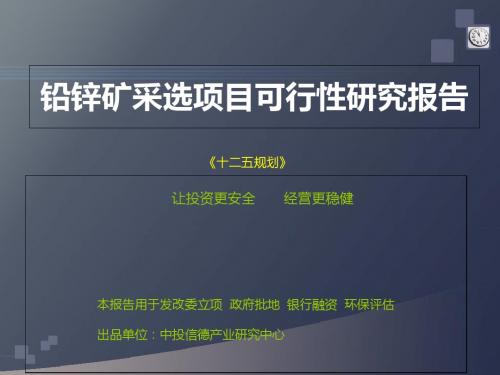 铅锌矿采选项目可行性研究报告-PPT精选文档