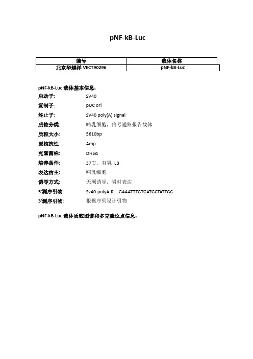 pNF-kB-Luc使用说明