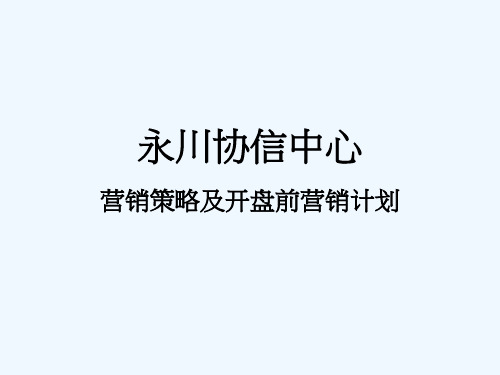 营销策略及开盘前营销计划概述(