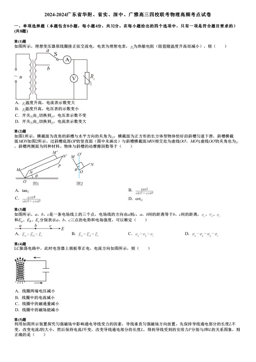 2024-2024广东省华附、省实、深中、广雅高三四校联考物理高频考点试卷