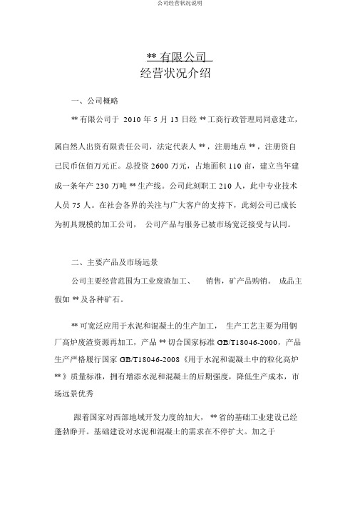 公司经营情况说明