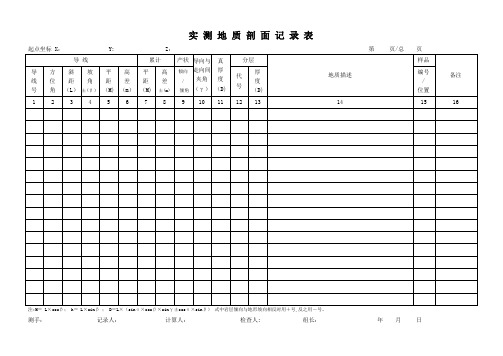 野外地质记录表大全