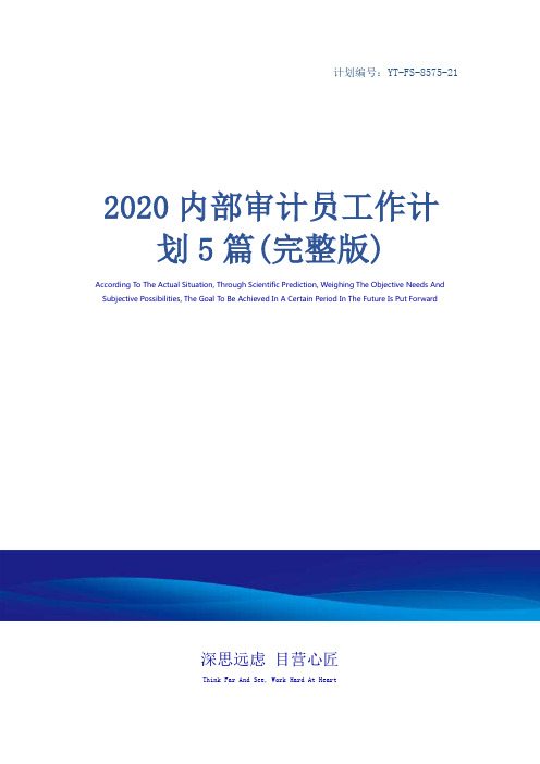 2020内部审计员工作计划5篇(完整版)