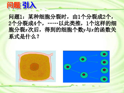 2.1.2指数函数及其性质(2)