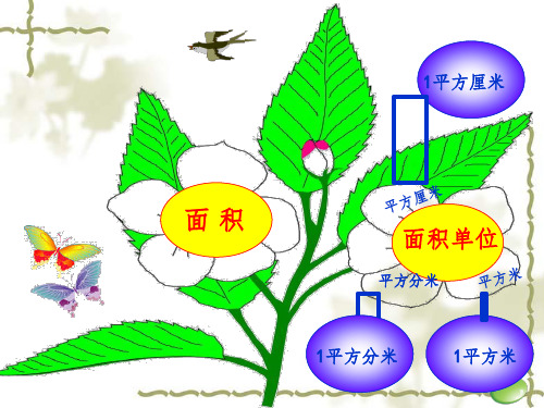 长方形面积的计算-文档资料.ppt