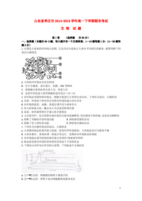 山东省枣庄市2014_2015学年高一生物下学期期末考试试题