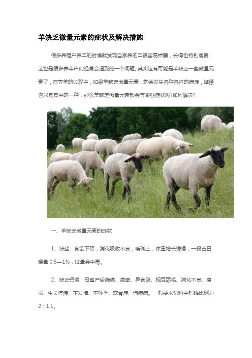 羊缺乏微量元素的症状及解决措施