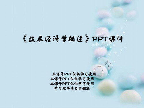 《技术经济学概述》PPT课件