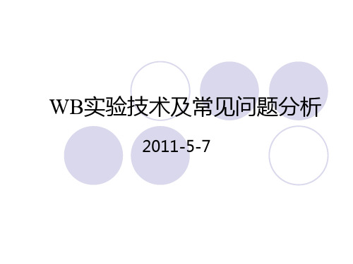 western blot原理及操作流程