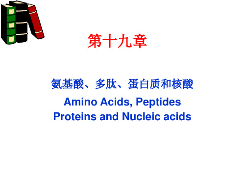 chapt-19-氨基酸、多肽、蛋白质和核酸