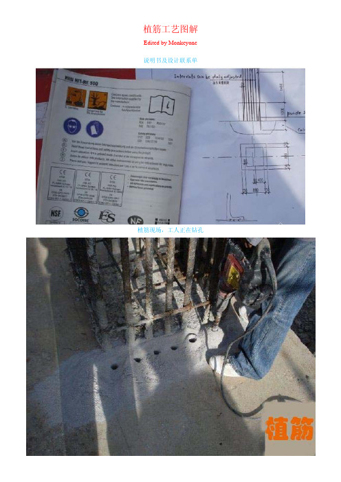 混凝土施工中植筋施工图解