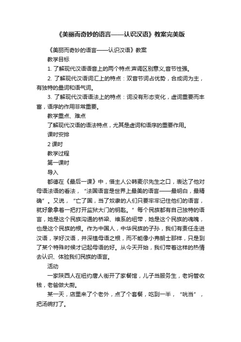 《美丽而奇妙的语言——认识汉语》教案完美版