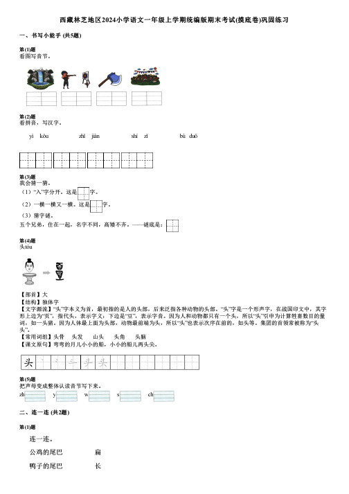 西藏林芝地区2024小学语文一年级上学期统编版期末考试(摸底卷)巩固练习